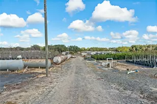 4004 Rex Dr, Winter Garden, FL 34787 - Photo 19