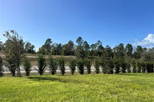2321 Mystic Maze Ln, Minneola, FL 34715 - Photo 49