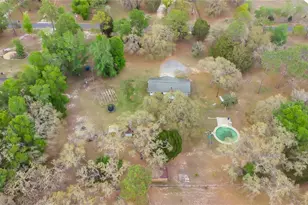 3116 E Buck, Inverness, FL 34452 - Photo 29