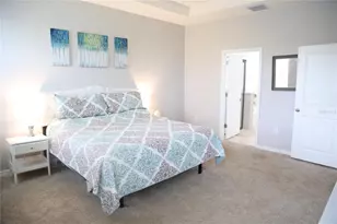 1160 Bering Rd, Wesley Chapel, FL 33543 - Photo 15