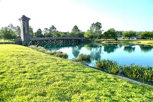 1160 Bering Rd, Wesley Chapel, FL 33543 - Photo 35