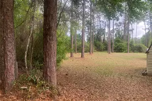 SE 19th Pl SE 19th Pl, Silver Springs, FL 34488 - Photo 3