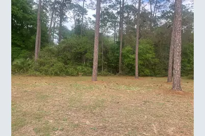 Se 19th Place SE 19th Place, Silver Springs, FL 34488 - Photo 5