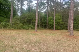 SE 19th Pl SE 19th Pl, Silver Springs, FL 34488 - Photo 5