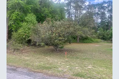 Se 19th Place SE 19th Place, Silver Springs, FL 34488 - Photo 9