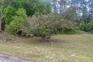 SE 19th Pl SE 19th Pl, Silver Springs, FL 34488 - Photo 9