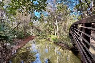 207 Weeping Elm Ln, Longwood, FL 32779 - Photo 49