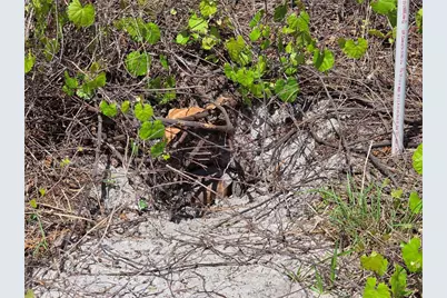 215 Fletcher Street, Port Charlotte, FL 33954 - Photo 9