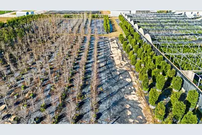 4004 Rex Drive, Winter Garden, FL 34787 - Photo 5