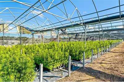 4004 Rex Drive, Winter Garden, FL 34787 - Photo 31