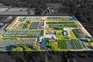 4004 Rex Dr, Winter Garden, FL 34787 - Photo 1