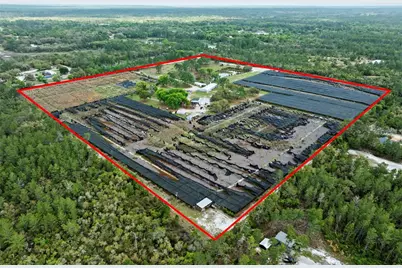 40945 Beach Road, Eustis, FL 32736 - Photo 3