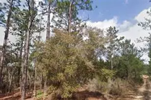 Akron St, Interlachen, FL 32148 - Photo 1