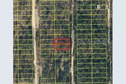 Akron Street, Interlachen, FL 32148 - Photo 3