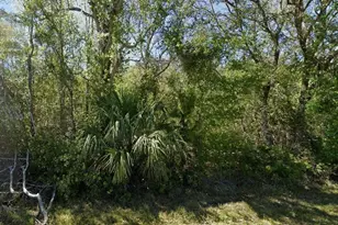 1903 Spruce Creek Cir N, Port Orange, FL 32128 - Photo 1