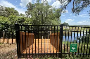 24907 NE 135th St, Salt Springs, FL 32134 - Photo 55