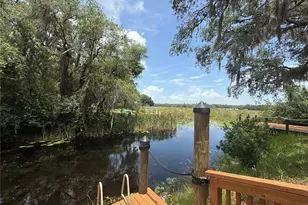 24907 NE 135th St, Salt Springs, FL 32134 - Photo 57