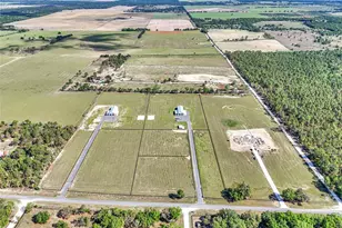 14951 SE 60 St, Morriston, FL 32668 - Photo 5