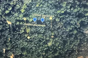 NE 239th Pl, Orange Springs, FL 32182 - Photo 1