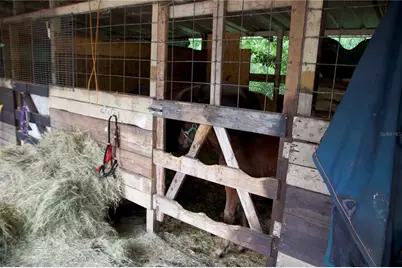 1920 10th Street, Orlando, FL 32820 - Photo 35