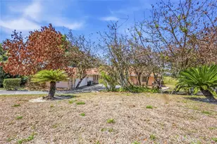 1352 Errol Pkwy, Apopka, FL 32712 - Photo 59