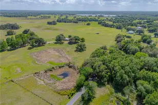 8197 Cr 736, Center Hill, FL 33514 - Photo 49