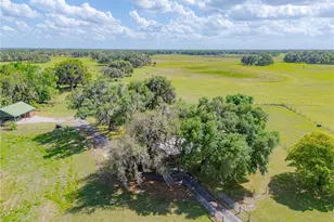 8197 Cr 736, Center Hill, FL 33514 - Photo 57
