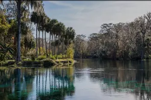 3012 NE 104th Ave, Silver Springs, FL 34488 - Photo 63