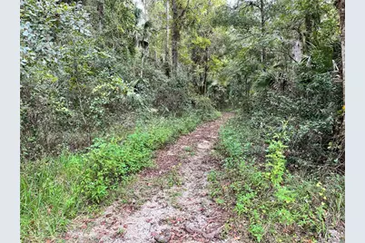 3012 NE 104th Avenue, Silver Springs, FL 34488 - Photo 59