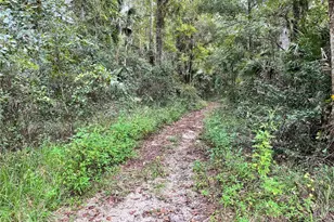 3012 NE 104th Ave, Silver Springs, FL 34488 - Photo 59