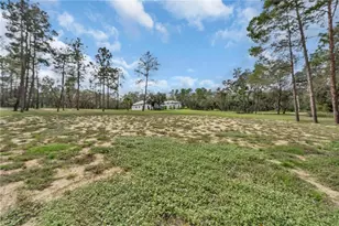 8398 Happy Trail, Kissimmee, FL 34747 - Photo 57