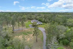 8398 Happy Trail, Kissimmee, FL 34747 - Photo 5