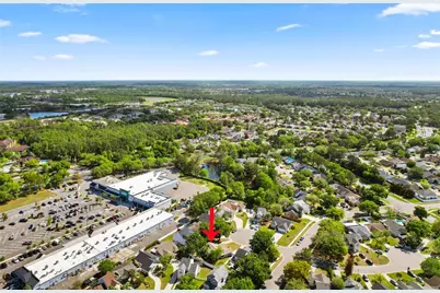 126 Spanish Moss Court, Orlando, FL 32828 - Photo 39