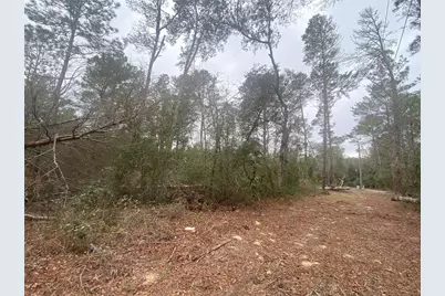 Sw 156th Place #0, Dunnellon, FL 34432 - Photo 5