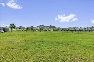 29307 Meadowcroft Ave, Wesley Chapel, FL 33544 - Photo 29