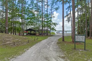 14202 Nell Dr, Orlando, FL 32832 - Photo 37
