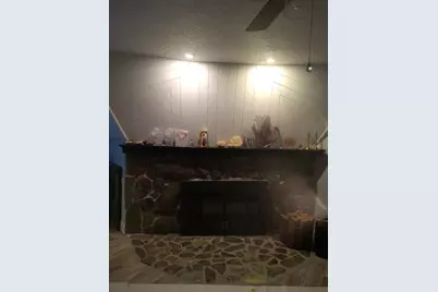 10424 Lyons Avenue, Lithia, FL 33547 - Photo 3