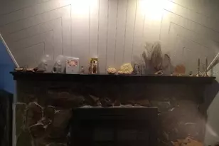 10424 Lyons Ave, Lithia, FL 33547 - Photo 3