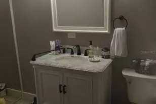 10424 Lyons Ave, Lithia, FL 33547 - Photo 5