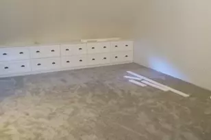 10424 Lyons Ave, Lithia, FL 33547 - Photo 9