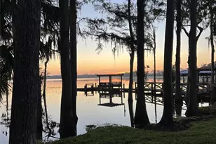 10400 Lake Cottage Ln, Orlando, FL 32836 - Photo 75