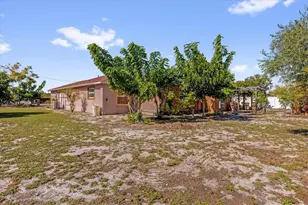 910 W Rich Dr, Mount Dora, FL 32757 - Photo 27