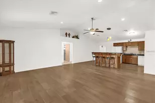 910 W Rich Dr, Mount Dora, FL 32757 - Photo 19