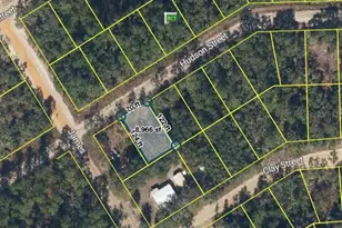 205 Hudson St, Interlachen, FL 32148 - Photo 1