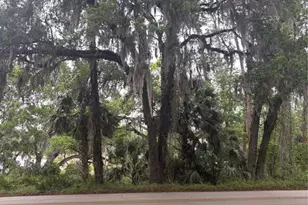 1425 E Graves Ave, Orange City, FL 32763 - Photo 1