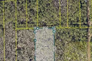 N St, Deland, FL 32724 - Photo 1