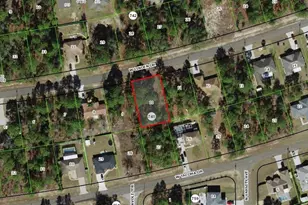 2078 W Linden Dr, Citrus Springs, FL 34434 - Photo 1