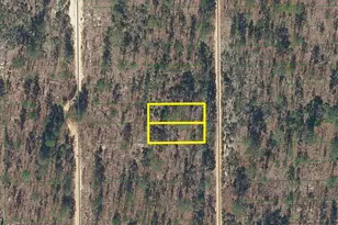 423 Dothan St, Interlachen, FL 32148 - Photo 1