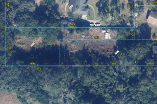E Cleveland St, Apopka, FL 32703 - Photo 1