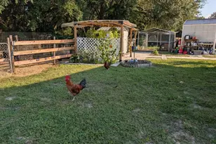 15243 S Hwy 25, Weirsdale, FL 32195 - Photo 45